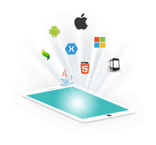 Hybrid Application Development